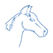 caballos-nutriceuticos-pharmadiet