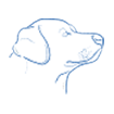 perros-nutriceuticos-pharmadiet